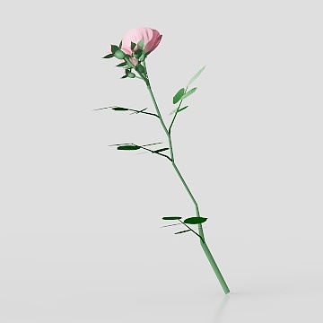 Realistic Garden Rose 3D model