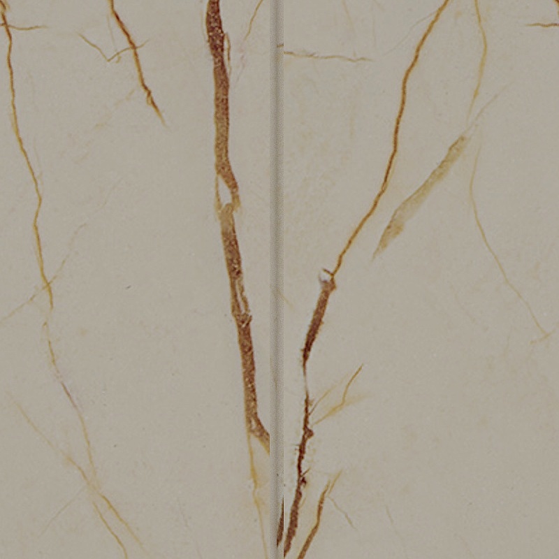 Cream marble tile with brown veins and vertical seam on white background