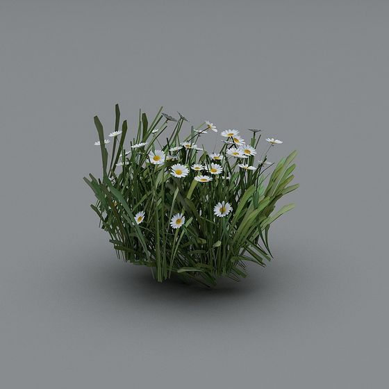 Daisy Meadow 3D model