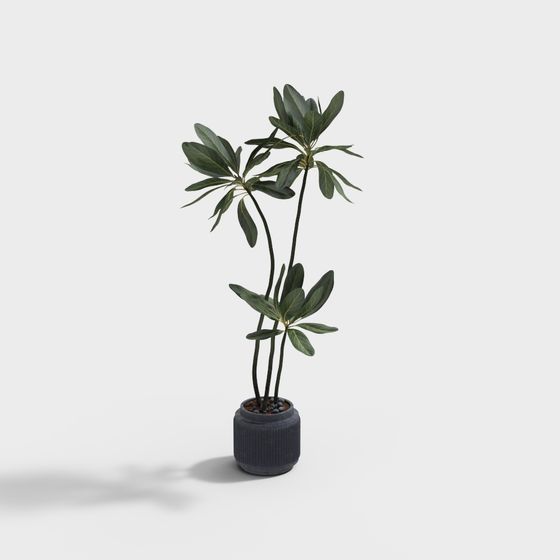 Urban Green Plant 3D model for Creative Designs
