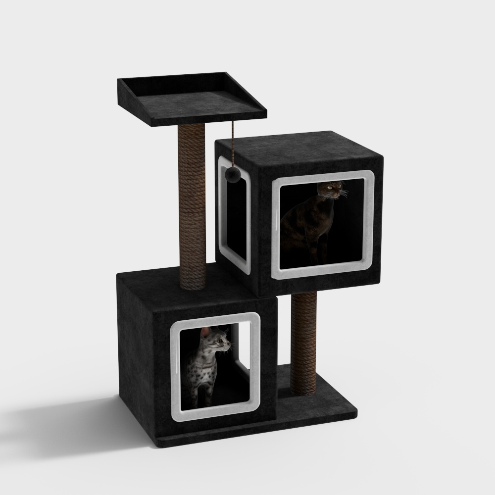 Parco Giochi per Gatti