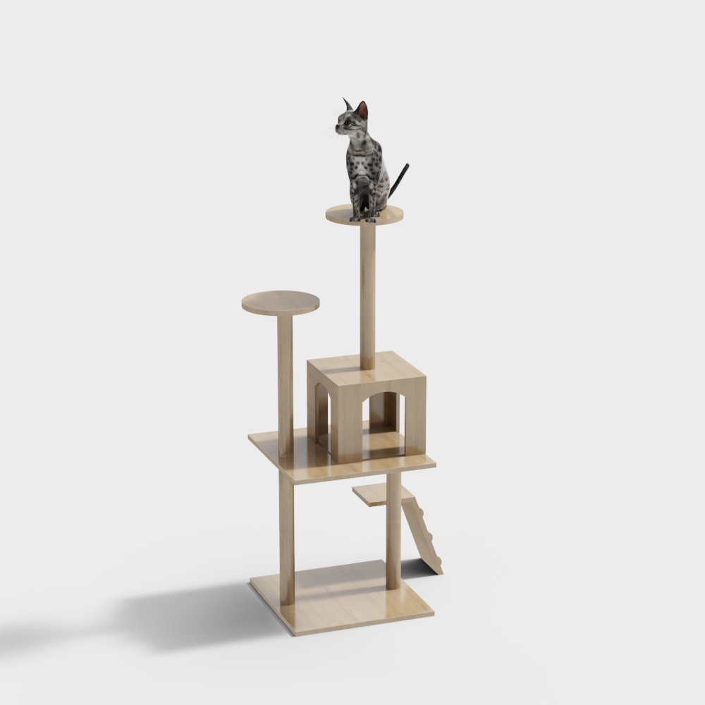 กรอบปีนแมวลูกแมวสมัยใหม่