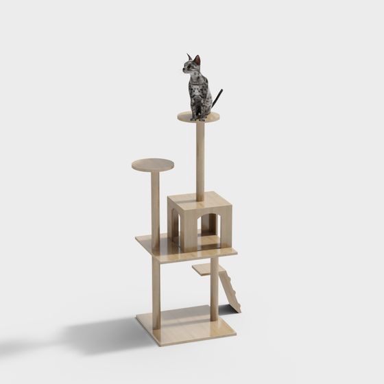 กรอบปีนแมวลูกแมวสมัยใหม่