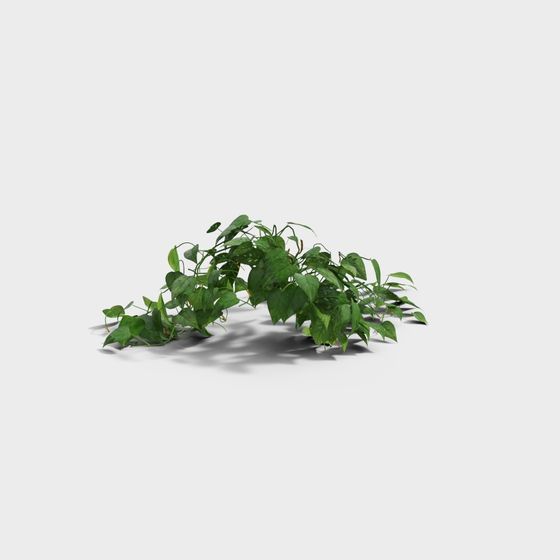 Realistic Low-Poly Climbing Plant 3D model