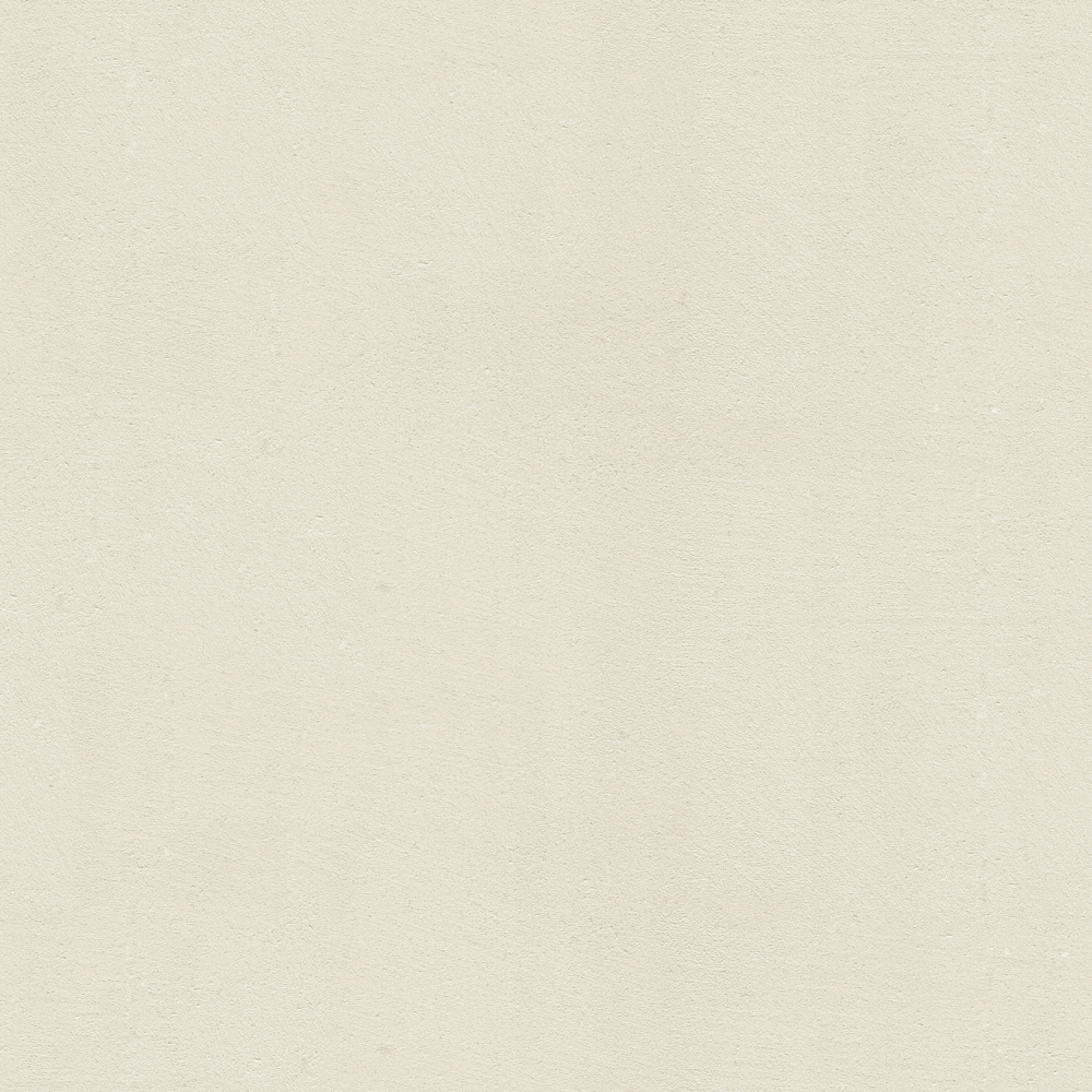 Wall paints/coatings