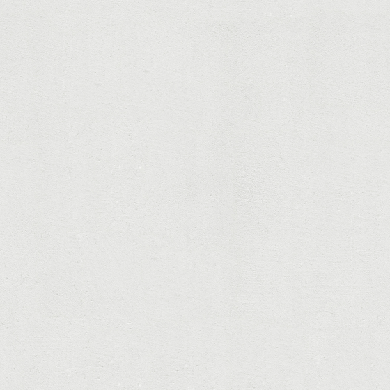 Inorganic Microcement Wall Paint 3D Model in Gray