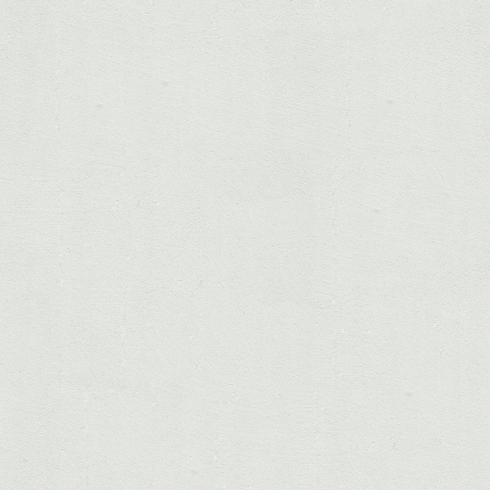 Wall paints/coatings