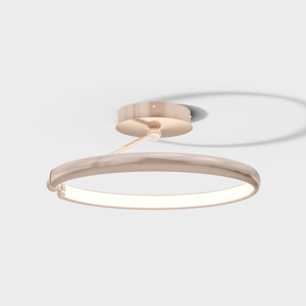Paulmann Orlik ring ceiling light