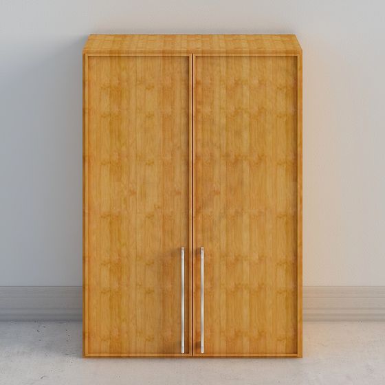 30_帶上櫃兩門42_高