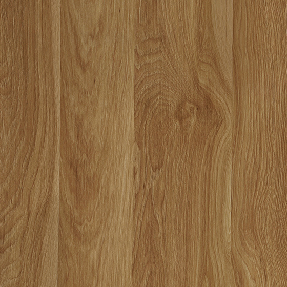 Urban Forest Wood Veneer 3D Model in Brown