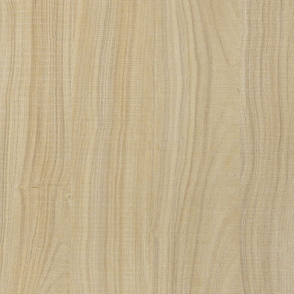 EISYA -MS2101 Xiangshan Pine and Cypress - Wood veneer - Sawn grain