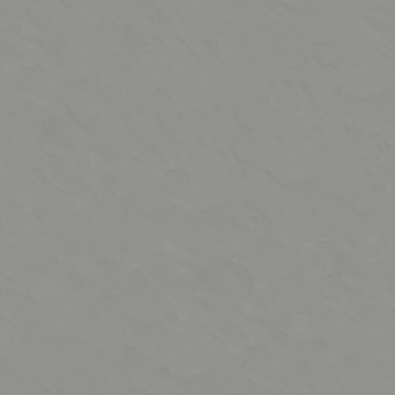 Wall Paint 3D Model in Gray