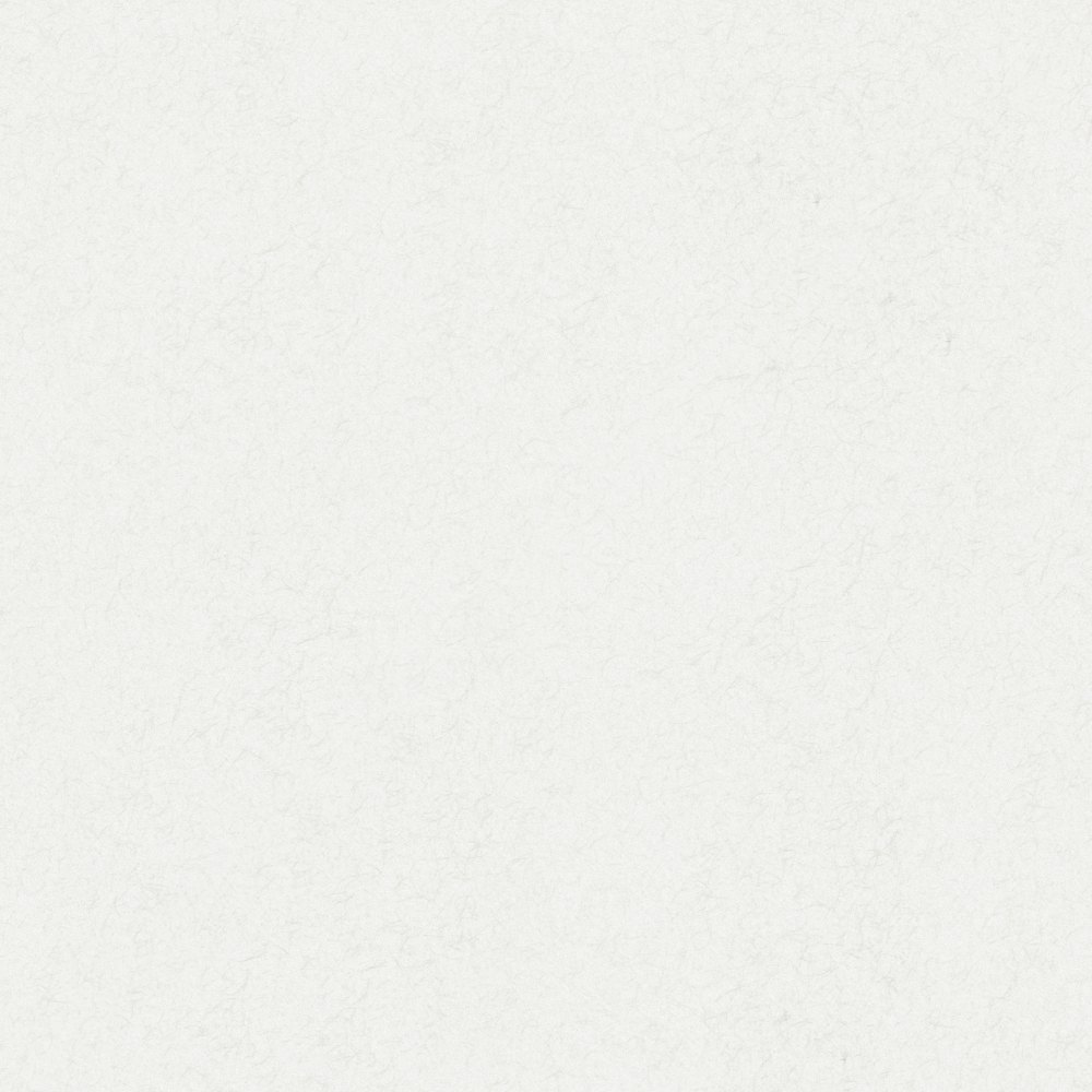 Cloud Silk Brocade - Wall paint/paint