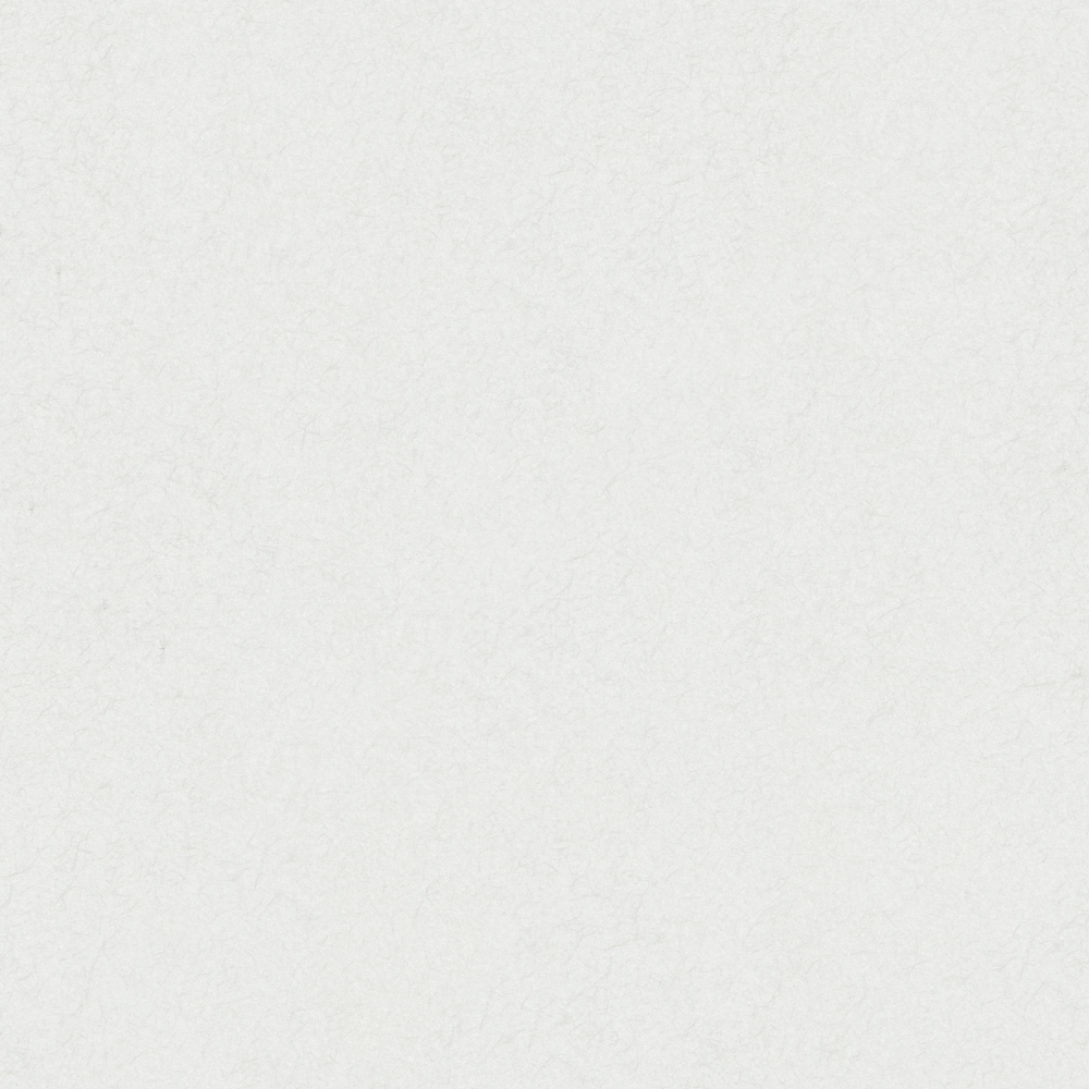 Cloud Silk Brocade - Wall paint/paint