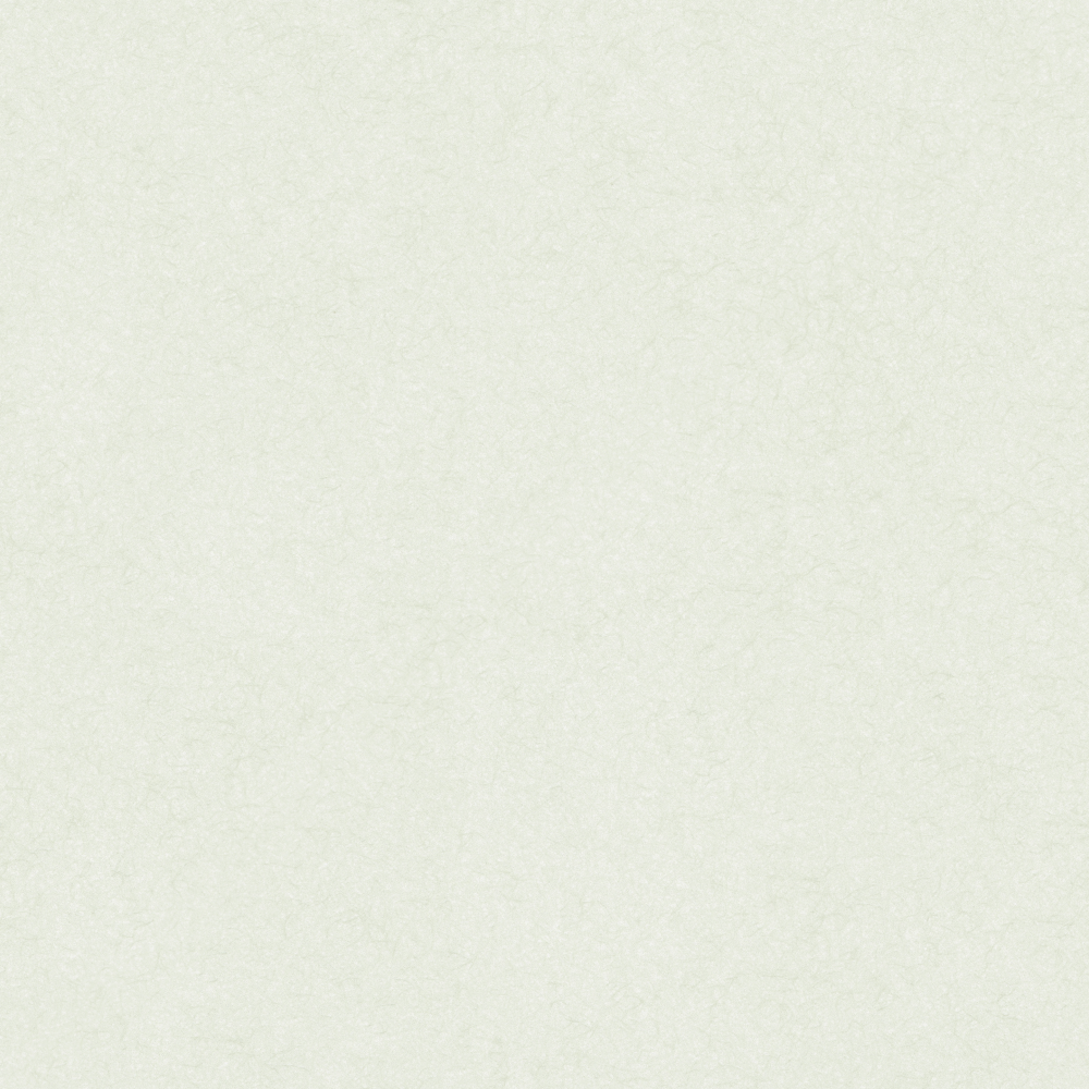 Cloud Silk Brocade - Wall paint/paint