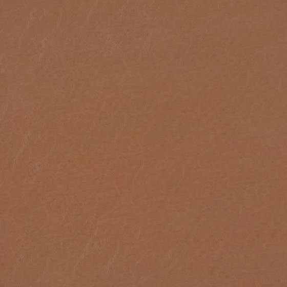 Hermes Orange Wood Veneer 3D Model in Earth Color