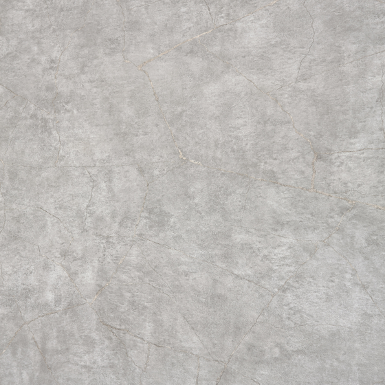 Melaleuca MSJK026 rock grain