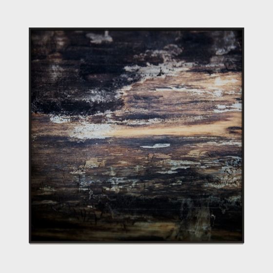 Beautiful Wooden Texture 3D model for Creative Projects