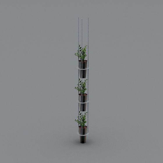 Выращивание растений