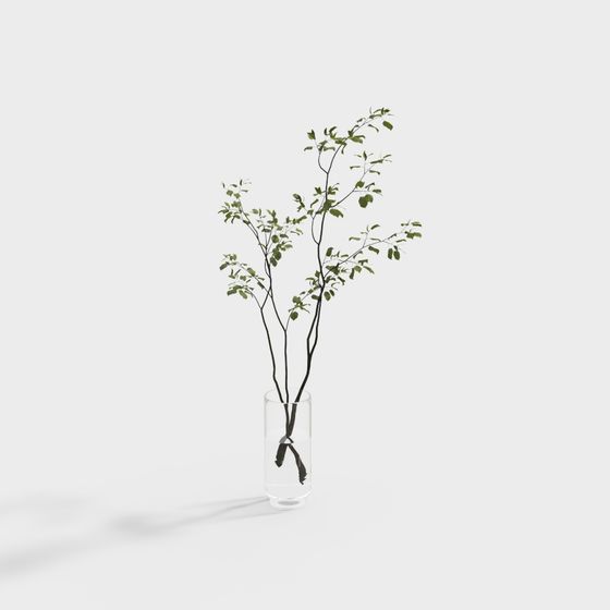 Vibrant Green Plant in Glass Vase 3D model