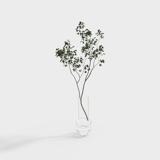 Stylish Green Plant in Glass Vase 3D model