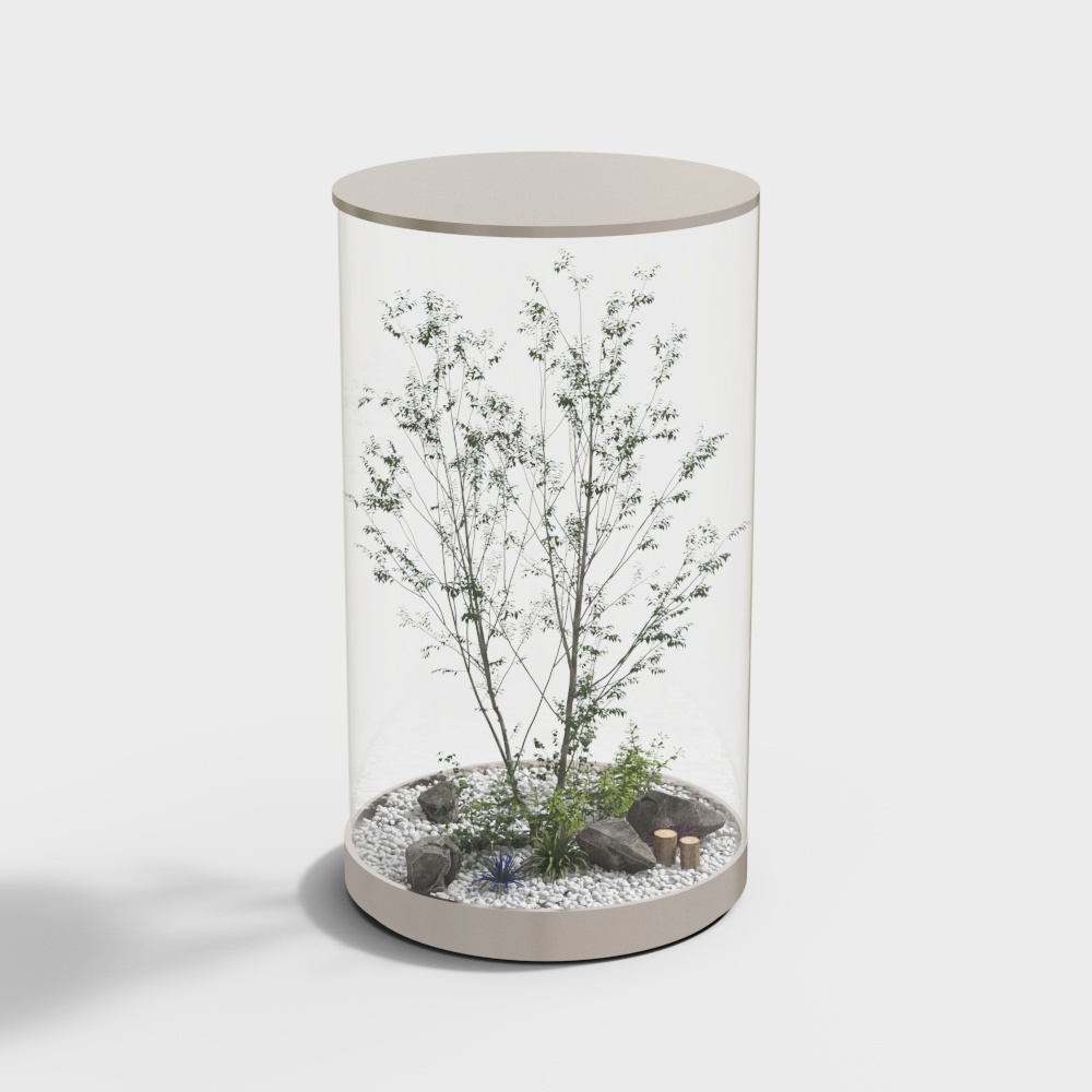 현대 조경 식물