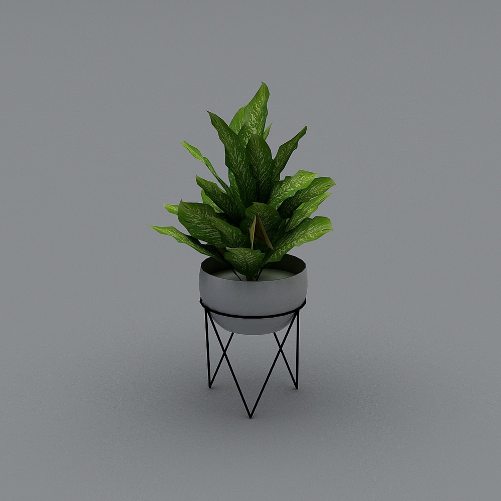 กระถางต้นไม้ West Elm ไอริช + ขาตั้ง Chevron