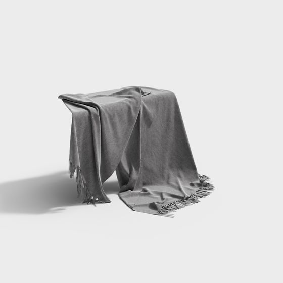 Elegant Tassel Blanket 3D model