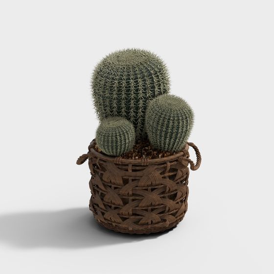 Desert Green Gem Cactus 3D model