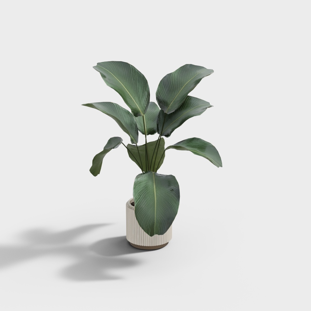 Small potted plants of modern plants