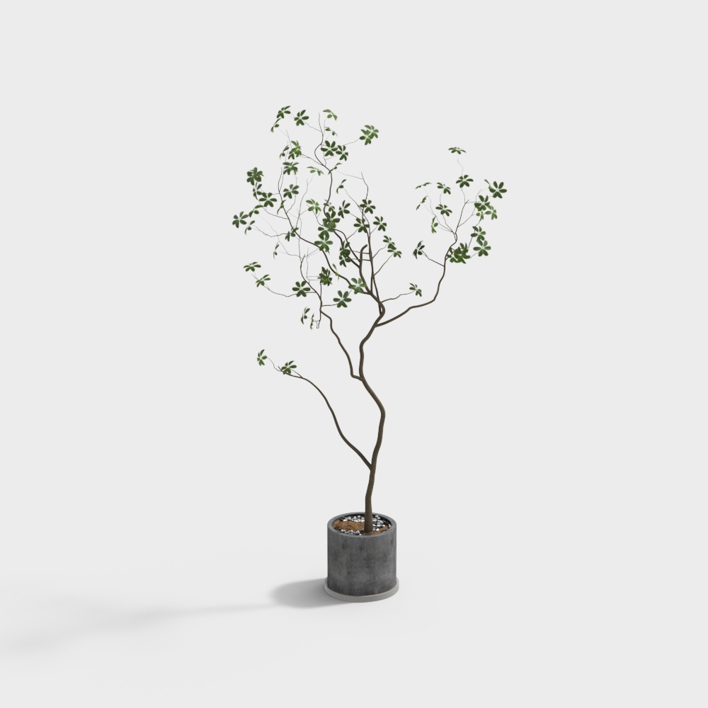 Urban Green Plant 3D Model – Low-Poly Realistic Textures