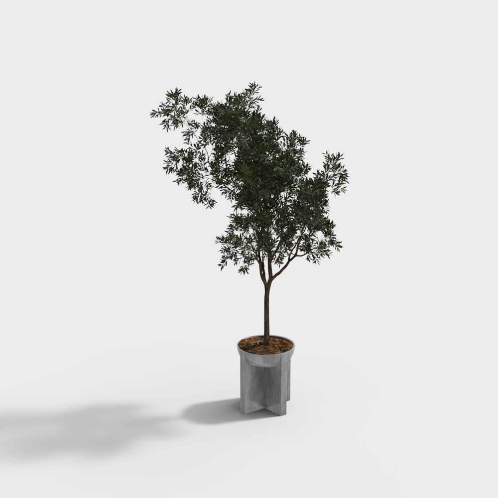 Chậu cây Wabi-sabi