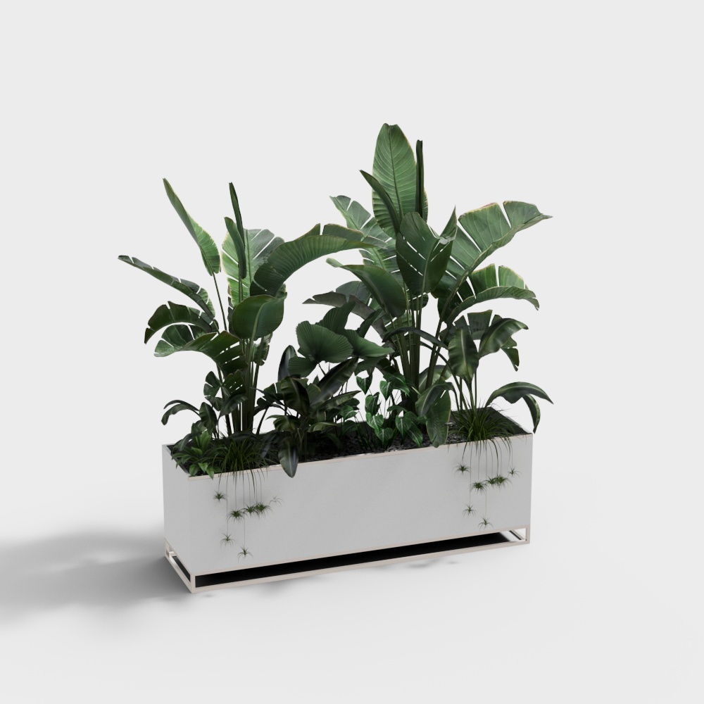 Modern white potted bonsai plant set