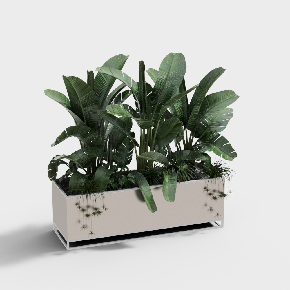 Modern Potted Black Bonsai