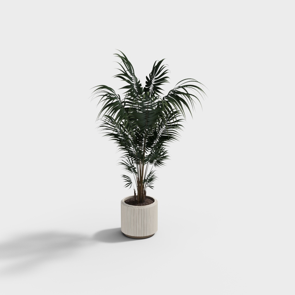 Plante verte moderne en pot