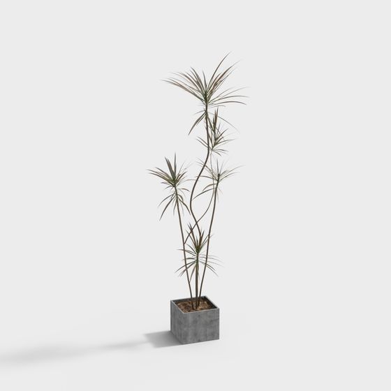 Unique Low-Polygon 3D Plant Model