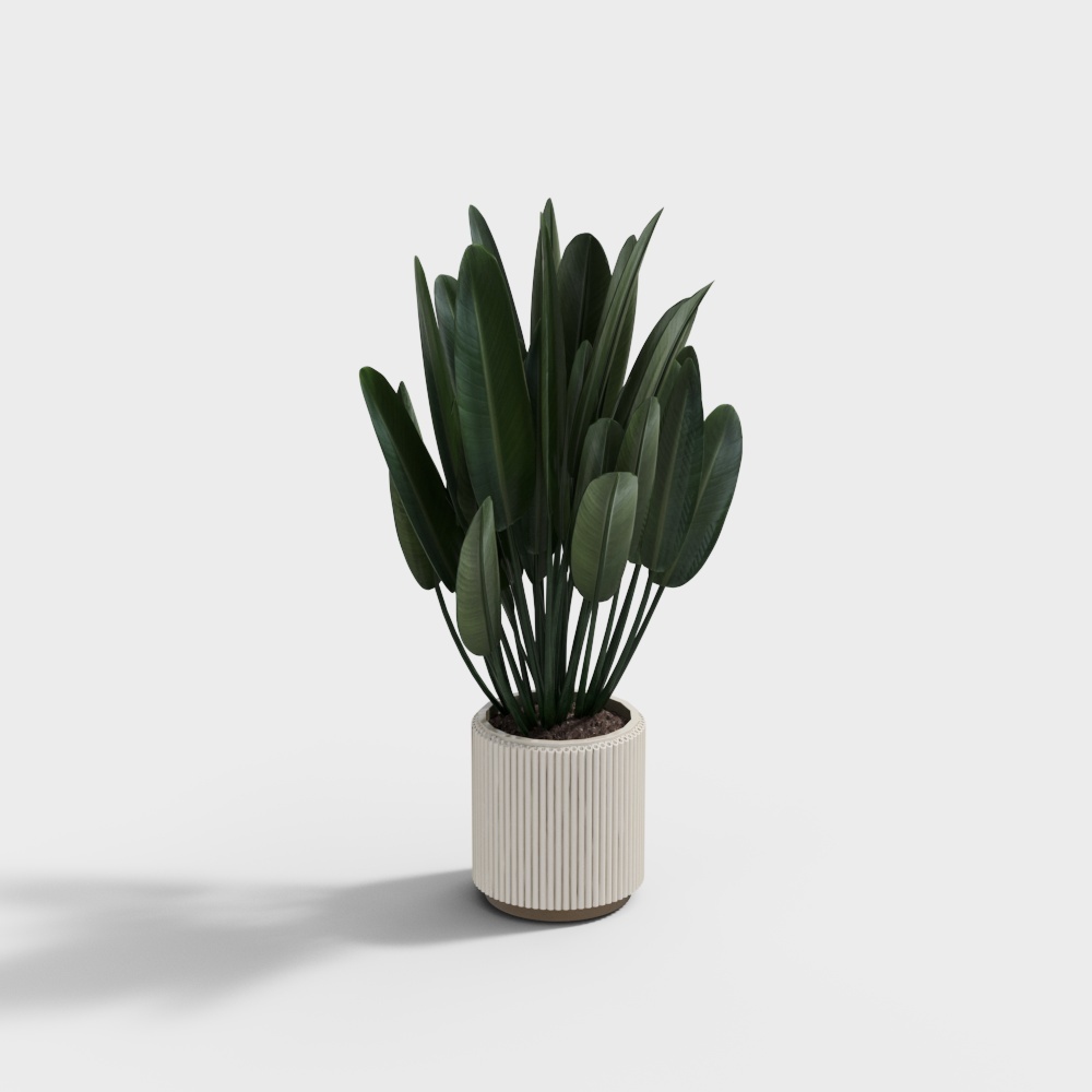 Tropical Green Plant 3D model for Interior Decoration