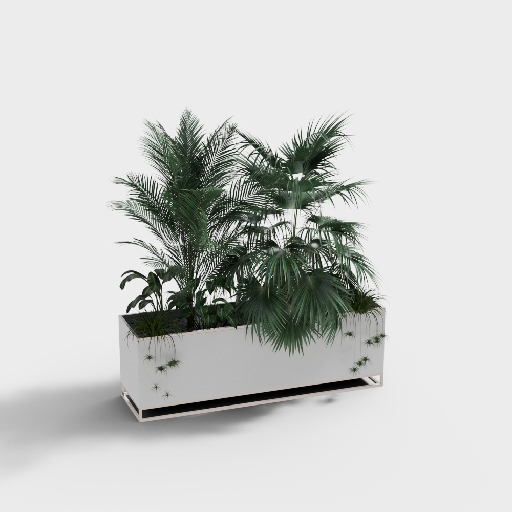 Cây cảnh trắng hiện đại