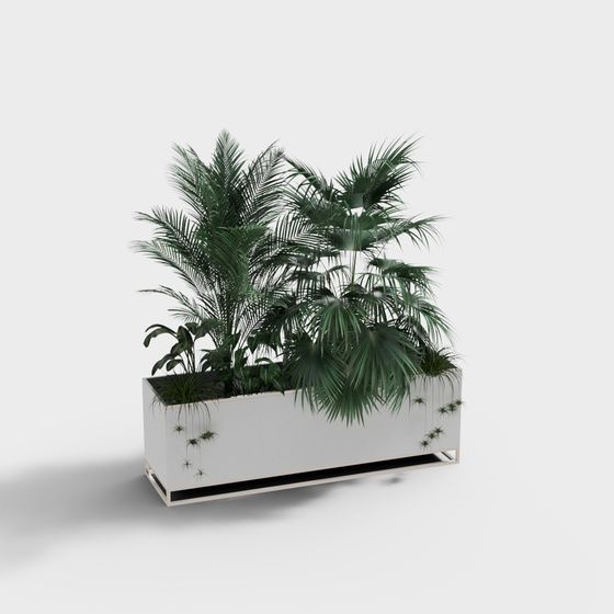 Cây cảnh trắng hiện đại