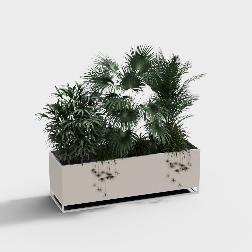 Bonsái negro moderno