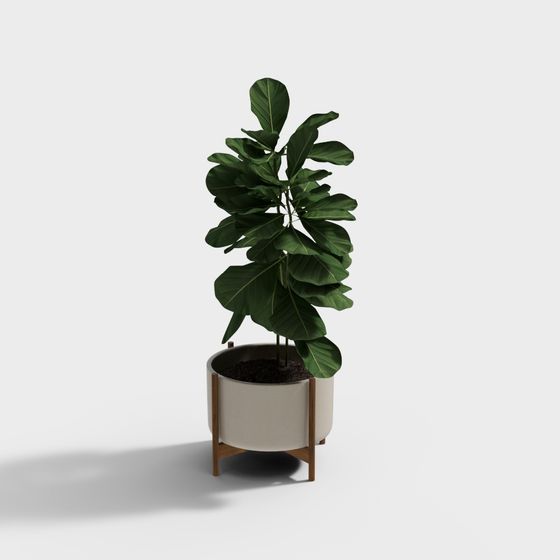 Urban Green Plant 3D model