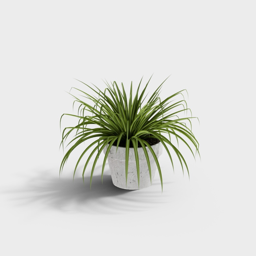 Indoor Green Plant 3D Model for Designers
