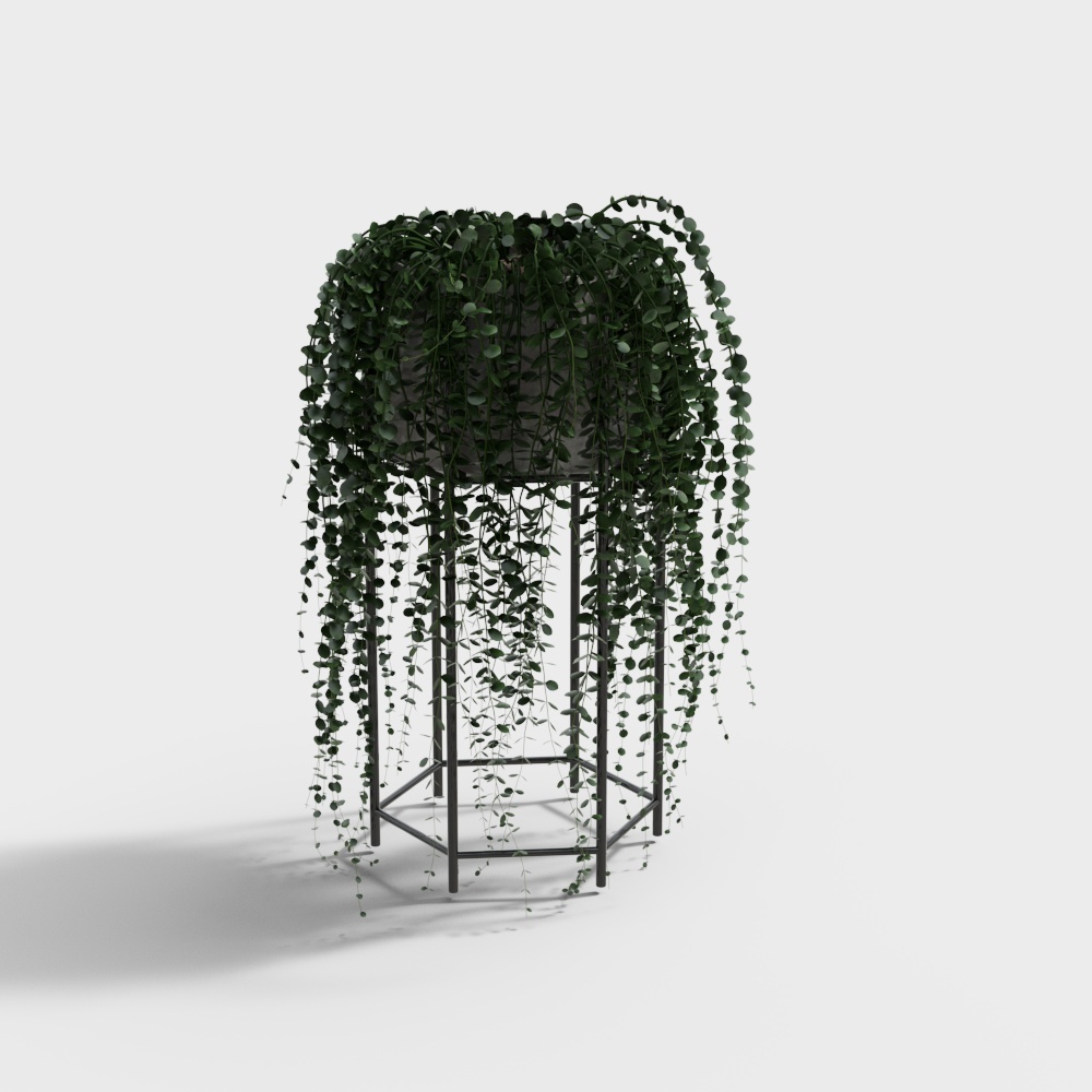 Piante rampicanti in Vaso Moderne