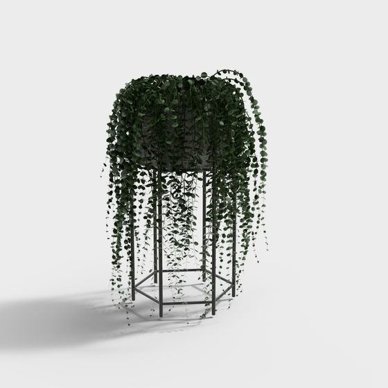 Piante rampicanti in Vaso Moderne