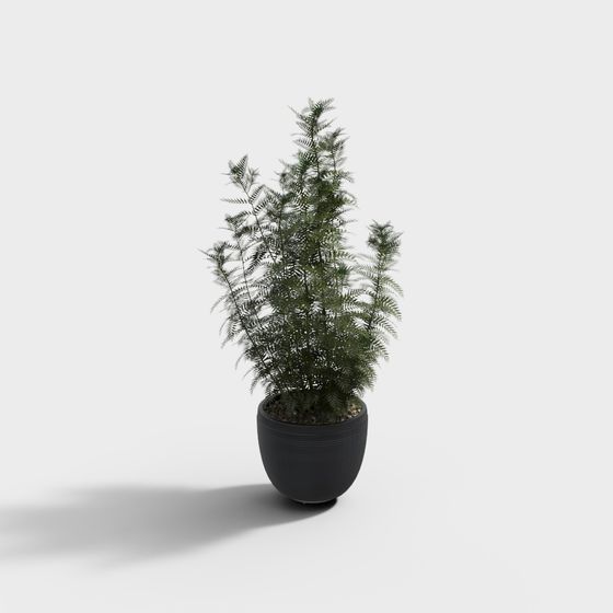 Indoor Plant 3D Model for Designers and Game Developers