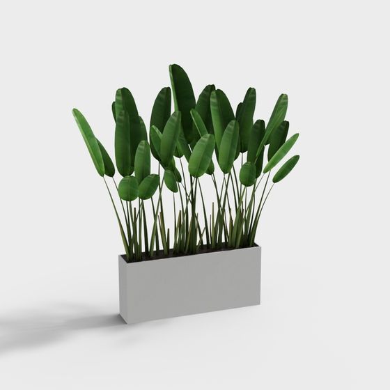 Tropical Plant Potted 3D Model
