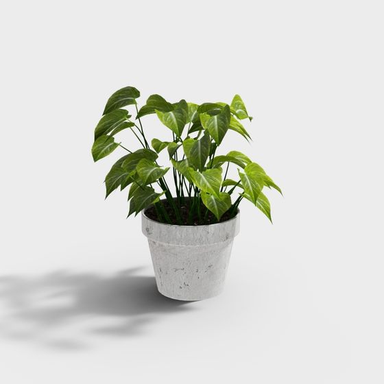 Urban Oasis Indoor Plant 3D Model for Creative Spaces