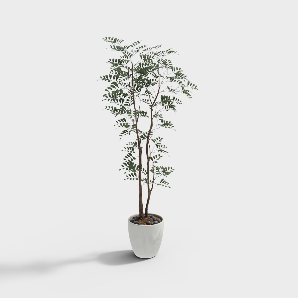 Indoor Plant 3D Model for Designers and Developers