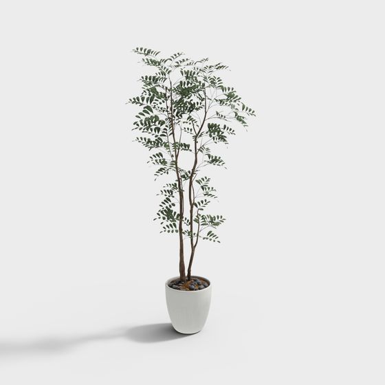 Indoor Plant 3D Model for Designers and Developers