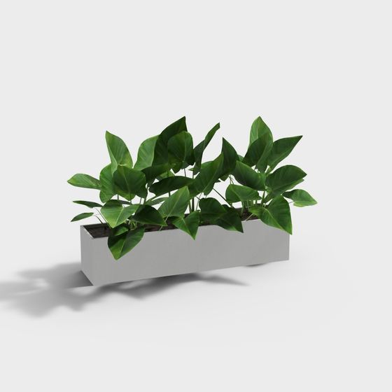 City Oasis 3D model for Designers and Developers